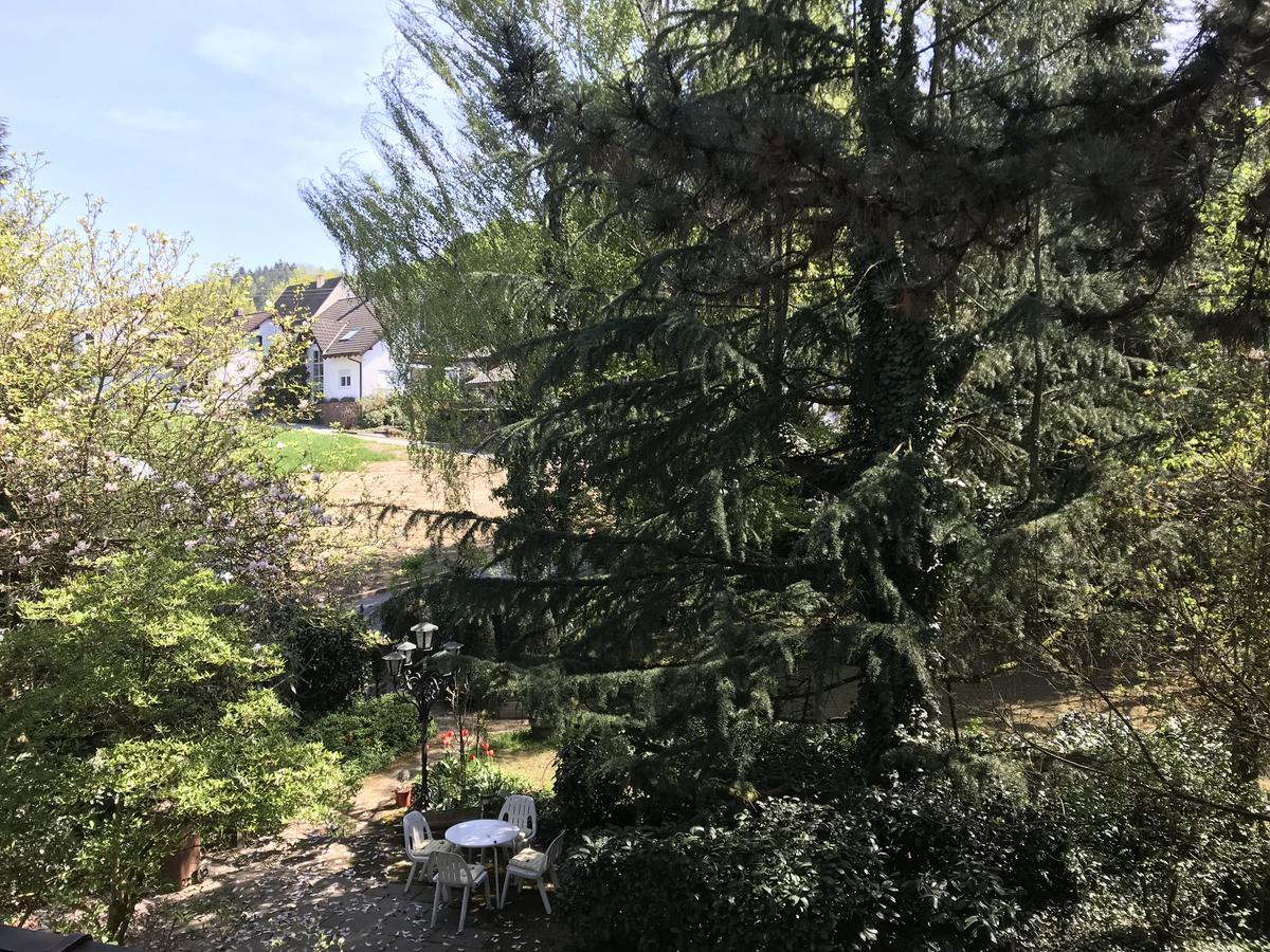 Hotel Roederhof バーデン＝バーデン エクステリア 写真