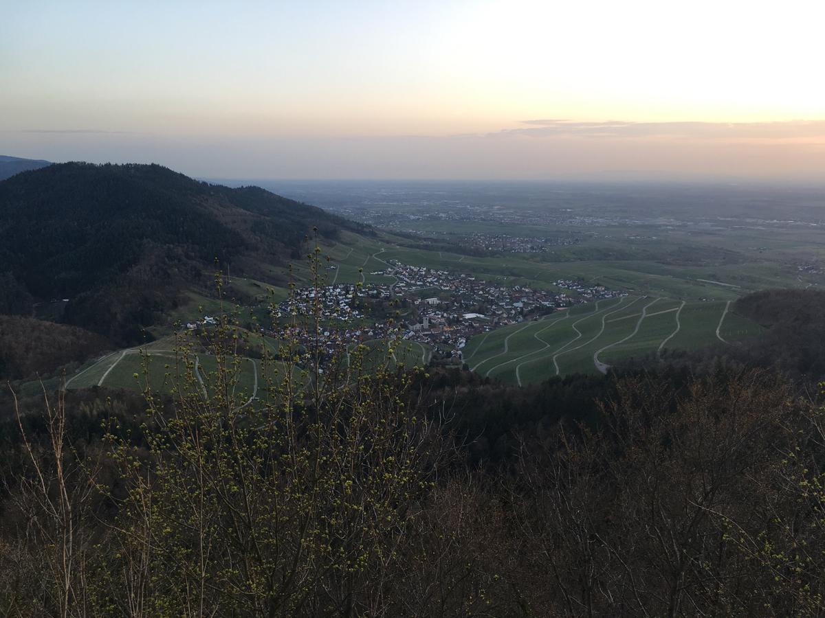 Hotel Roederhof バーデン＝バーデン エクステリア 写真
