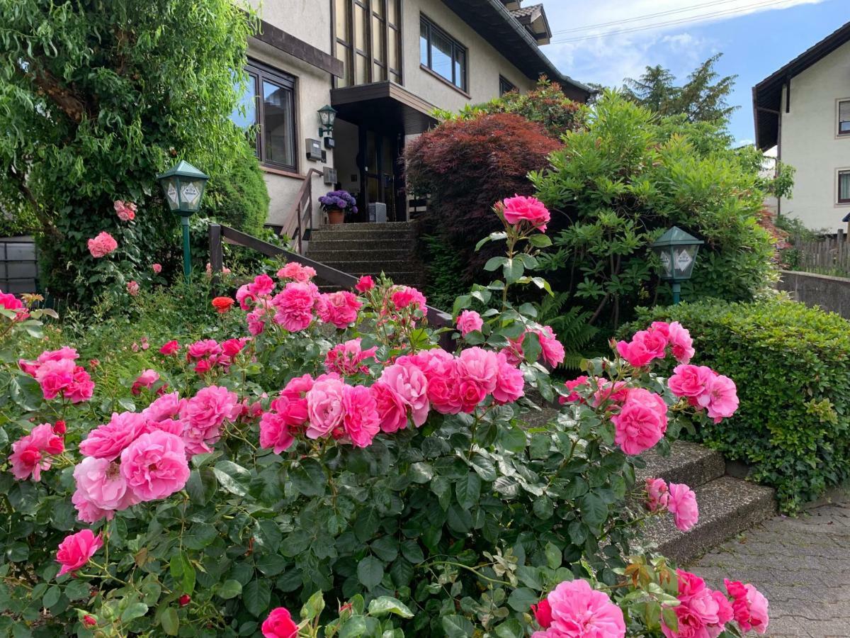 Hotel Roederhof バーデン＝バーデン エクステリア 写真